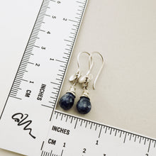 Load image into Gallery viewer, TN Sapphire Ladybug Drop Earrings (SS)