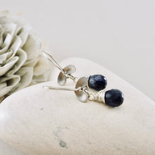 Load image into Gallery viewer, TN Sapphire Ladybug Drop Earrings (SS)