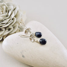 Load image into Gallery viewer, TN Sapphire Ladybug Drop Earrings (SS)
