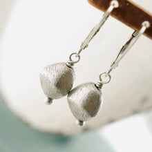 Load image into Gallery viewer, TN Brushed Silver Hollow Form Earrings (SS)
