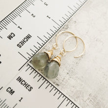 Load image into Gallery viewer, TN Gray Moonstone Drop C-Hook Earrings (GF)