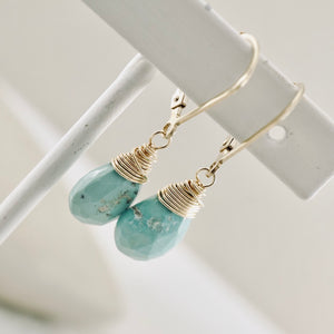 TN Natural Turquoise Faceted Drop Earrings (GF)