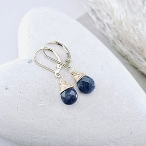 TN Petite Blue Sapphire Drop Earrings (Gold-filled)