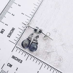 TN Petite Iolite Drop Earrings (CZ Posts SS)