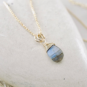 TN Petite Labradorite Flat Drop Pendant (GF)