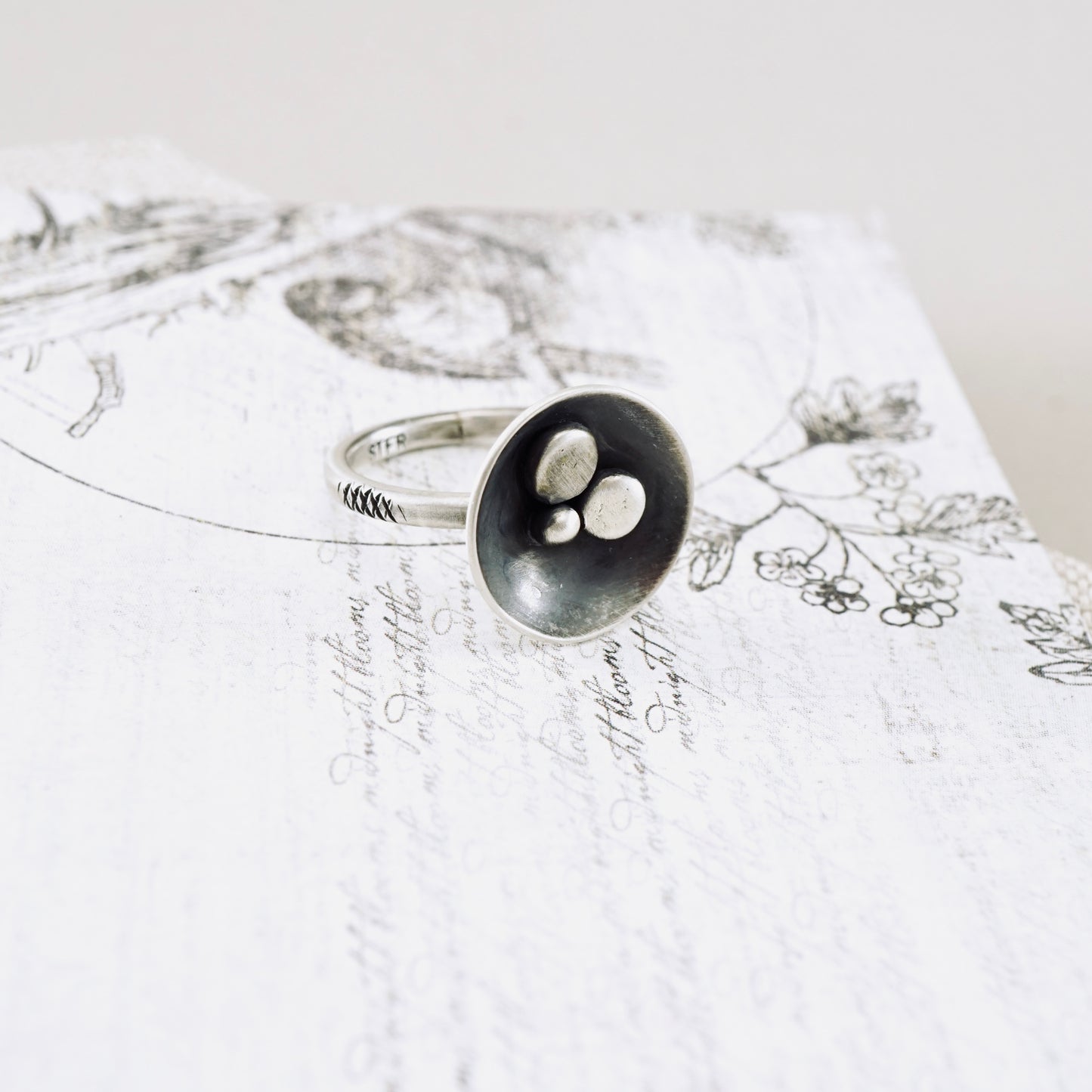 Silver Nest Ring