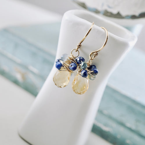 TN Petite Citrine & Lapis Nest Earrings (Gold-filled)