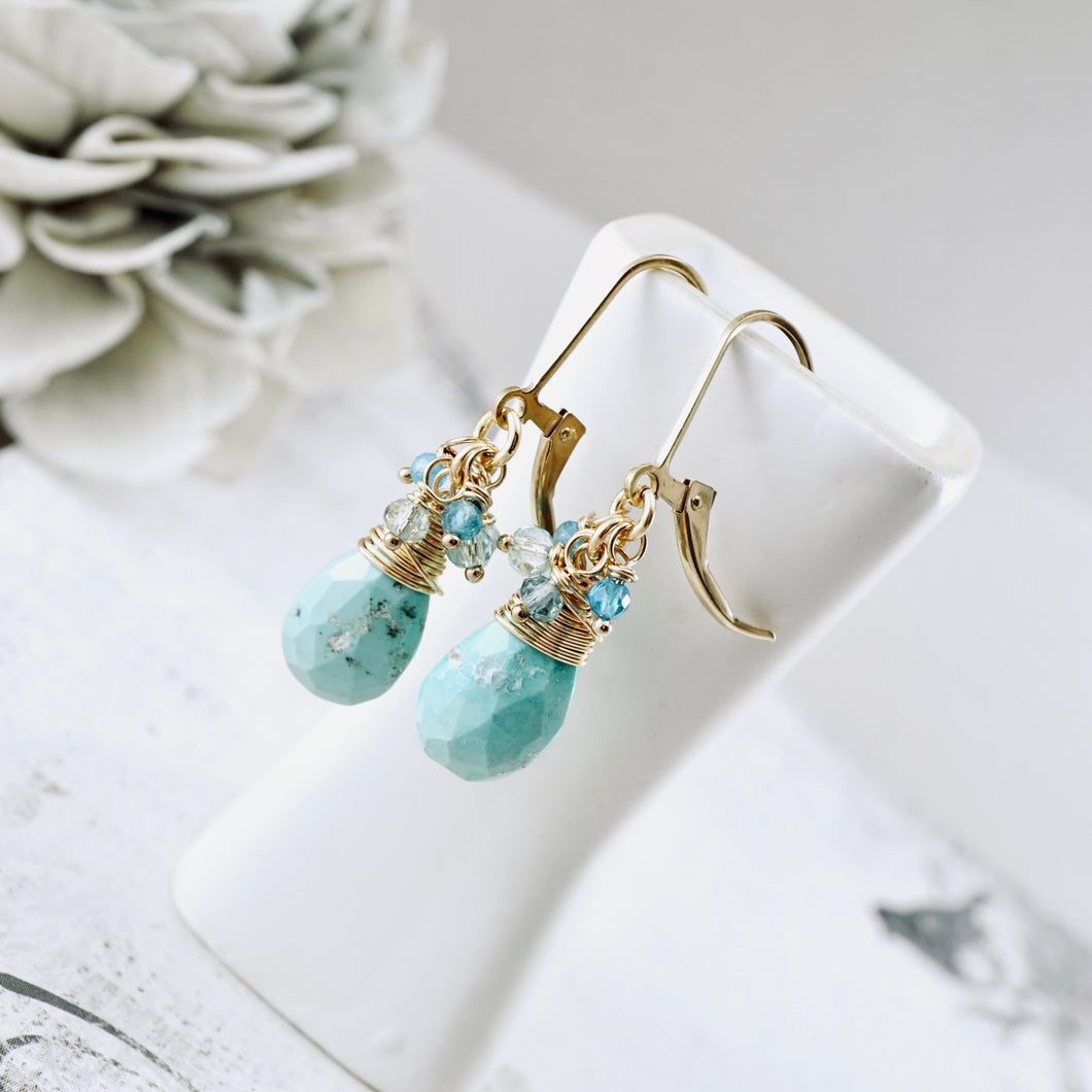 TN Natural Turquoise Faceted Drop Earrings (GF)