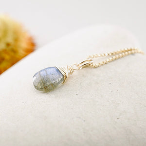 TN Petite Labradorite Flat Drop Pendant (GF)