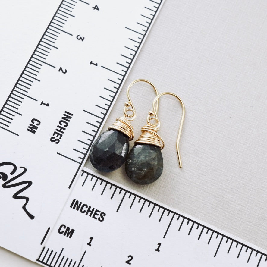 Labradorite Drop Earrings