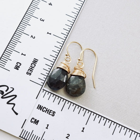 Labradorite Drop Earrings