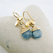 Load image into Gallery viewer, TN Ladybug Aquamarine Earrings