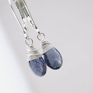 TN Iolite Petite Drop Earrings (SS)