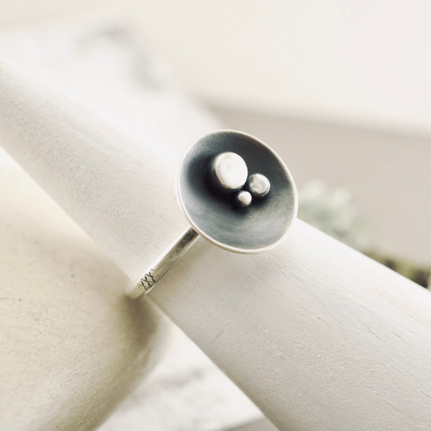 LS - Silver Nest Ring SS (Thin Band) (Sizes 5.5, 7.5)