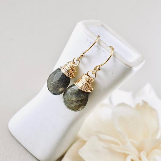 Labradorite Drop Earrings