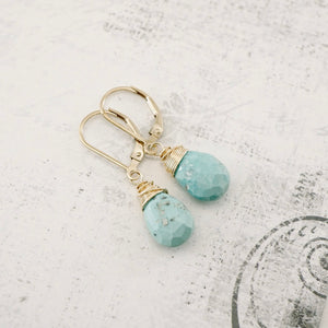TN Natural Turquoise Faceted Drop Earrings (GF)