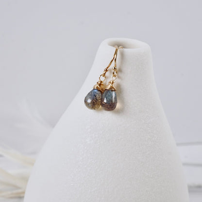 Petite Labradorite Drop Earrings