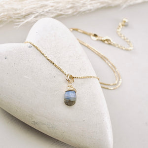 TN Petite Labradorite Flat Drop Pendant (GF)