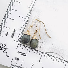 Load image into Gallery viewer, TN Labradorite Drop Earrings (Gold-filled)