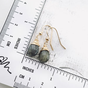 TN Labradorite Drop Earrings (Gold-filled)