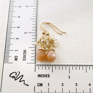 TN Peach Moonstone Drop Earrings (GF)