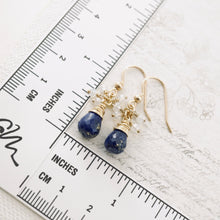 Load image into Gallery viewer, TN Lapis and Moonstone Earrings (GF)