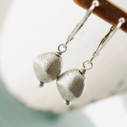 Brushed Silver Hollow Form Earrings